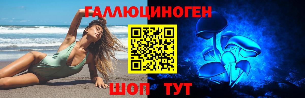Псилоцибиновые грибы MAGIC MUSHROOMS  Галлюциногенные грибы Psilocybine cubensis  Вход с VPN  Таганрог 